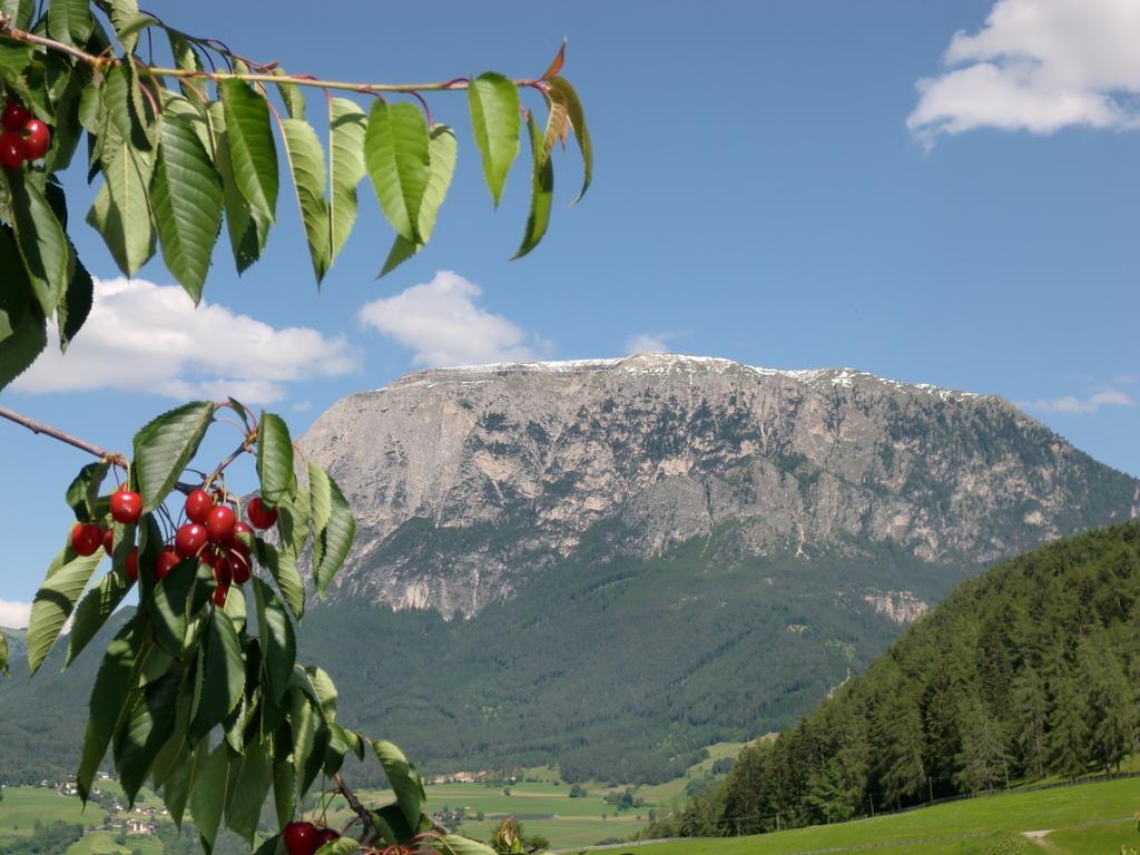 Ferienbauernhof Masunerhof Фие Номер фото
